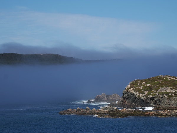 Nebel