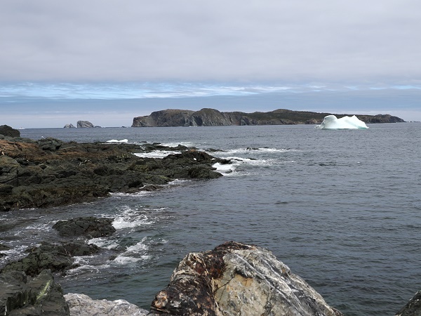 Bucht vor Little Wild Cove