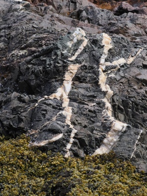 Felsen am Ufer