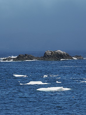 Eisbergreste