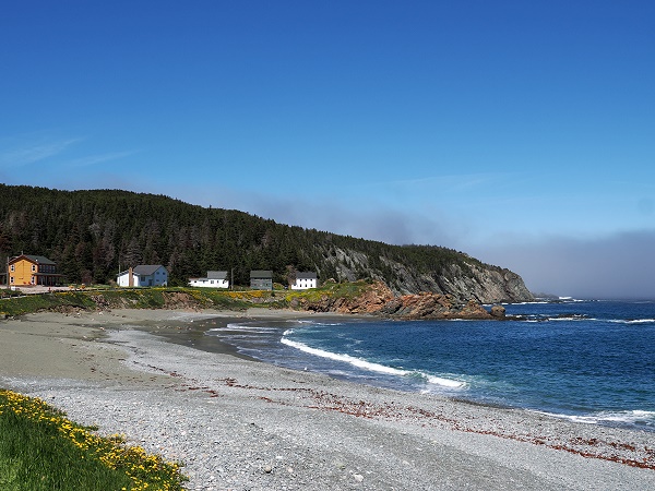 Little Wild Cove