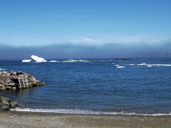Neuer Eisberg und Nebel