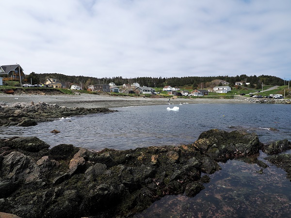 Little Wild Cove