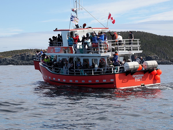 Bootstour Twillingate