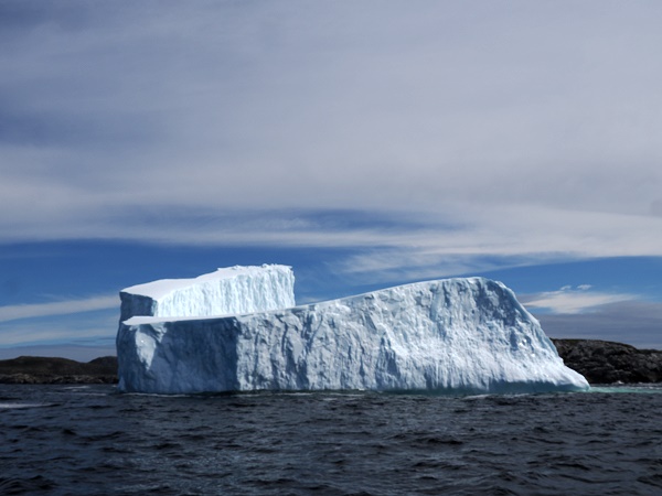 Eisberge bei Twinngate