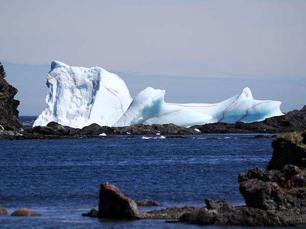 Eisberg bei Griquet Harbour