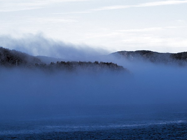 Nebel