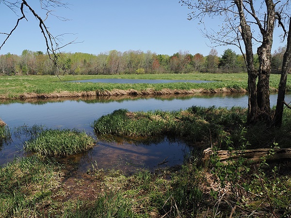Am Fluss