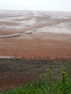 Ebbe