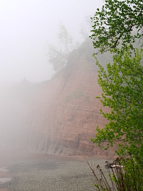 Nebel