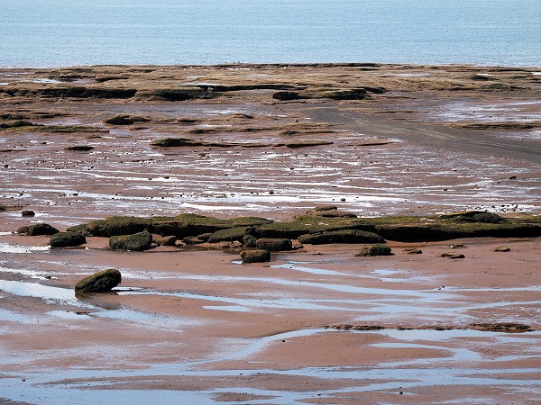 Ebbe