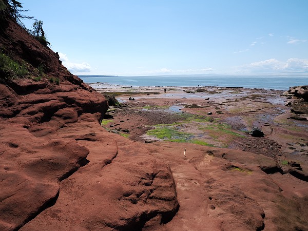 Burntcoast