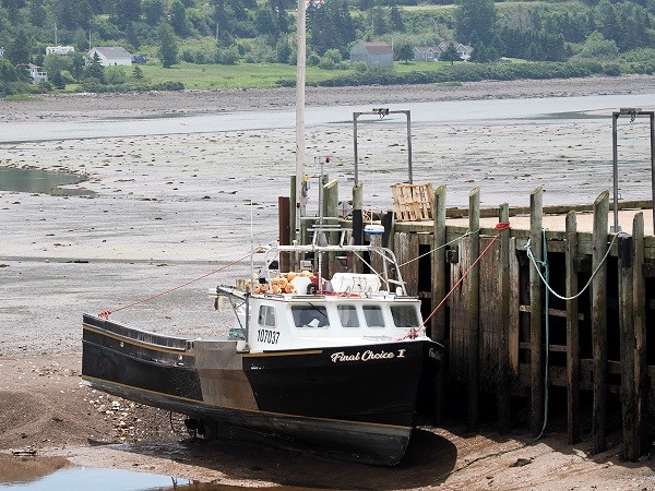 Hafen bei Ebbe
