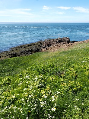 Küstenlandschaft