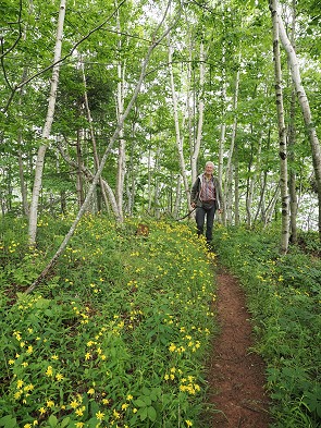 Grüner Wanderweg