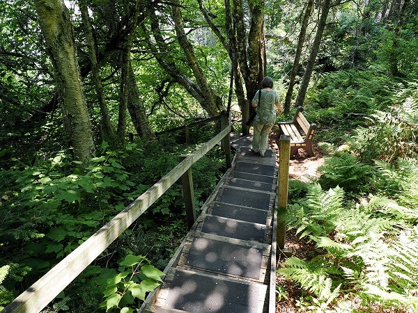 Treppen