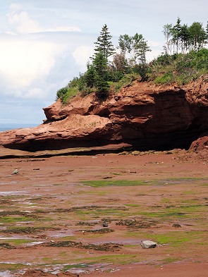 Rote Felsen
