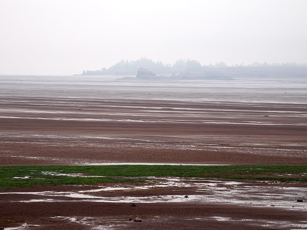 Nebel Bay of Fundy