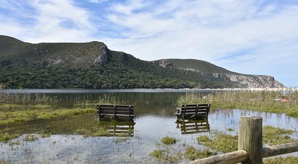 Ingrids Welt Sudafrika Garden Route Tsitsikamma Nationalpark