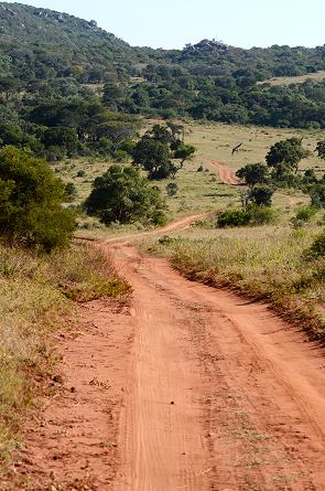 Leshiba Wilderness